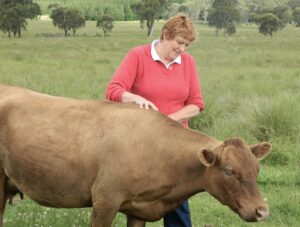 Happy cows produce happy calves